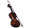 violin